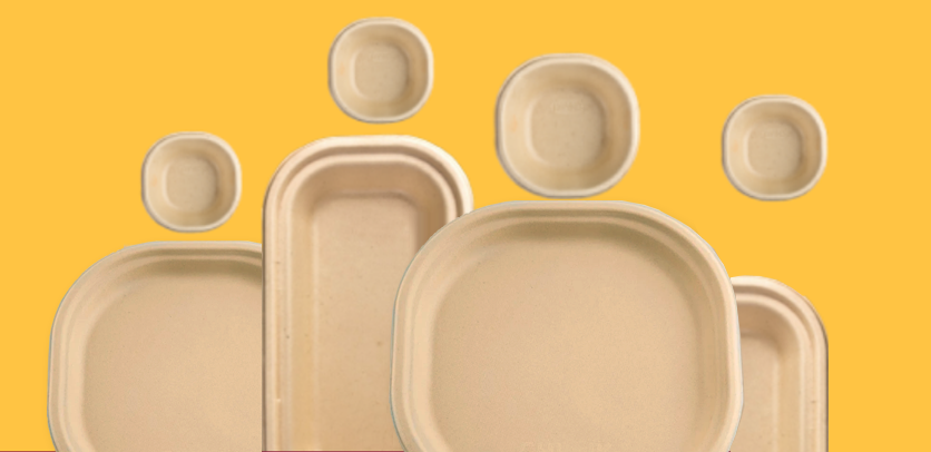 chuk group of products